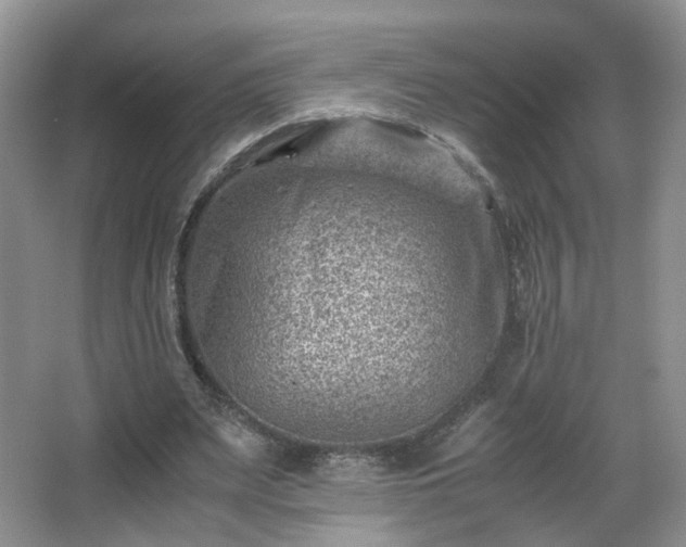 X0000066960487200603311427