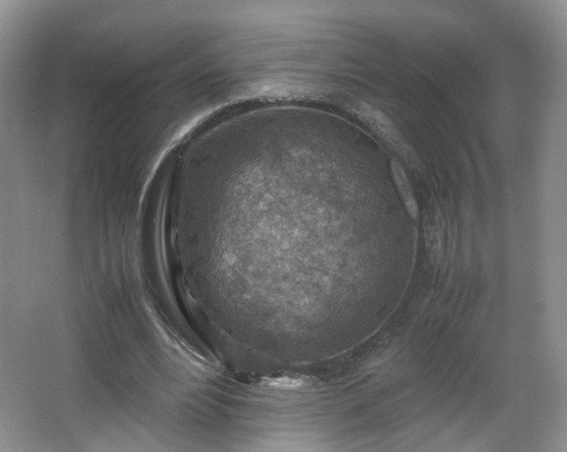 X0000066960488200603311427