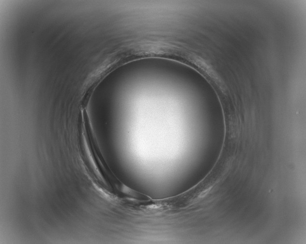 X0000066960489200603311427