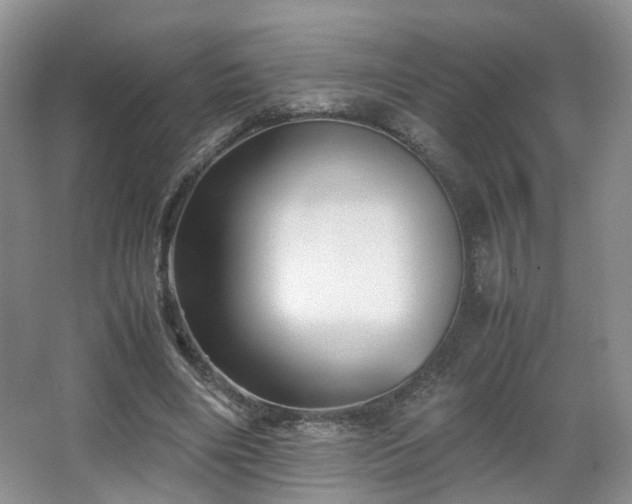 X0000066960490200603311427