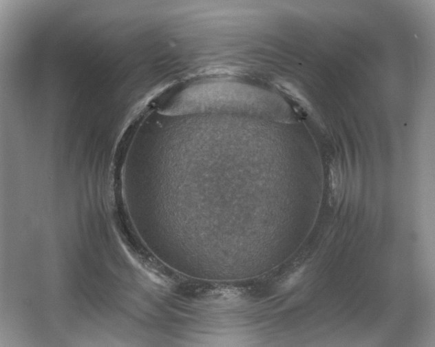 X0000066960492200603311427