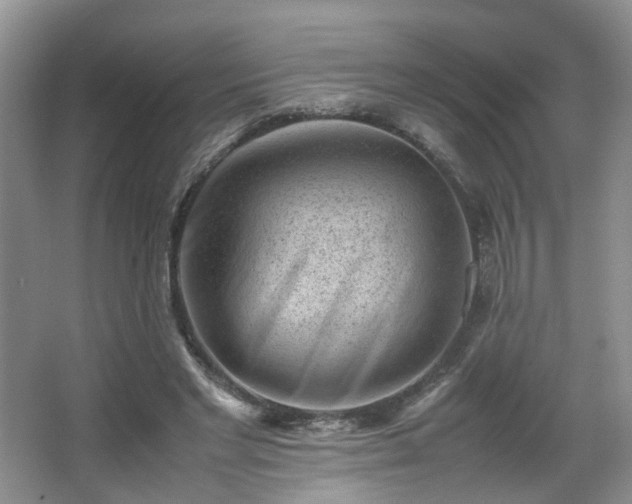 X0000066960493200603311427