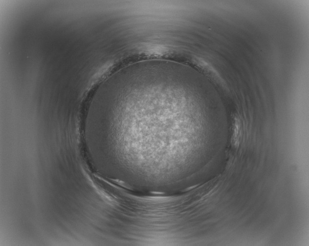 X0000066960496200603311427