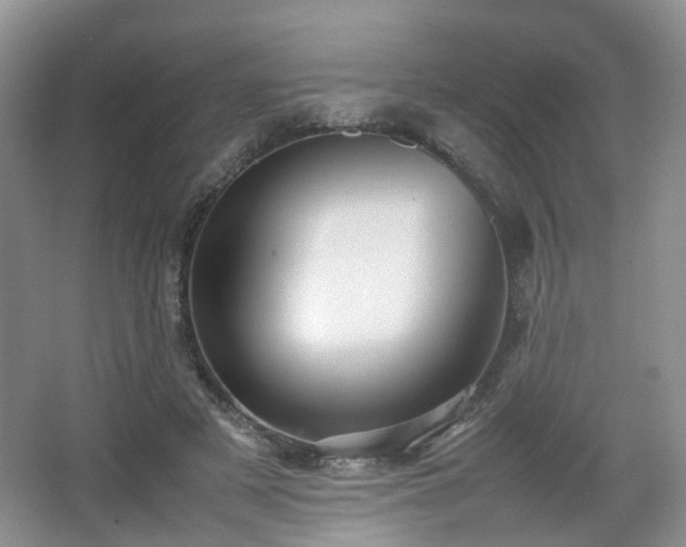 X0000066960497200603311427