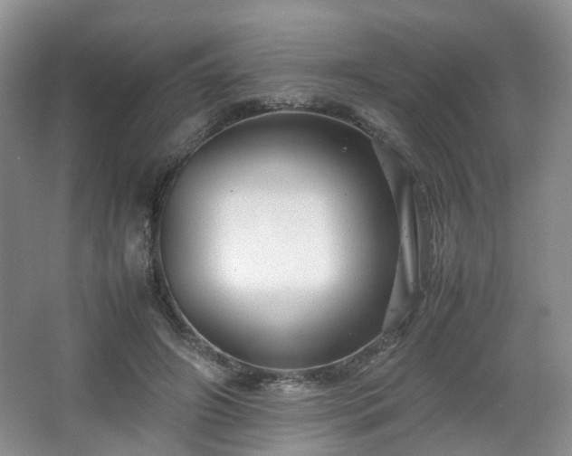 X0000066960498200603311427