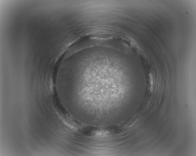 X0000066960500200603311427