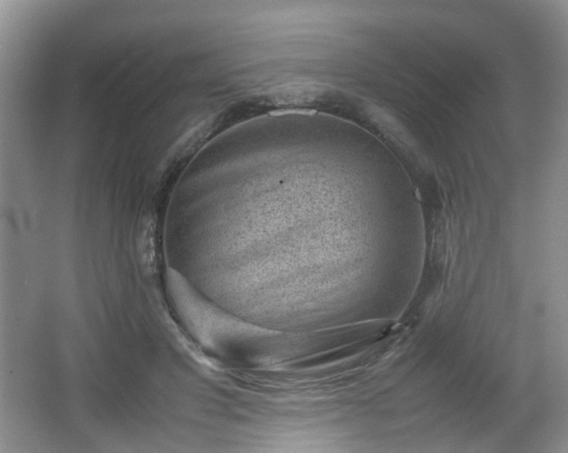 X0000066960501200603311427