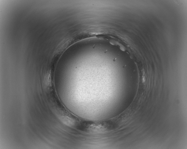 X0000066960502200603311427