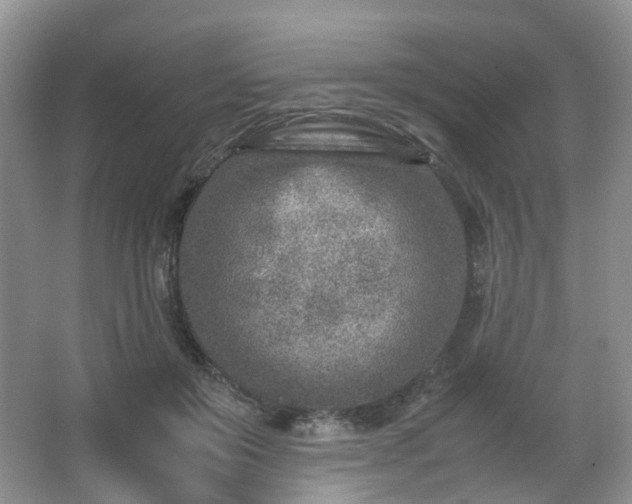 X0000066960503200603311427