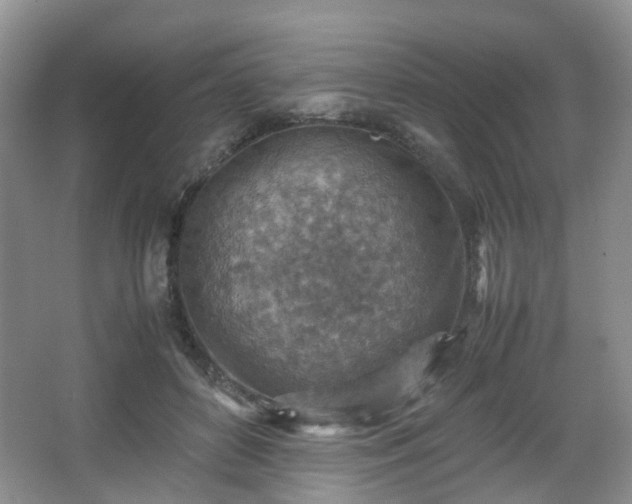 X0000066960504200603311427