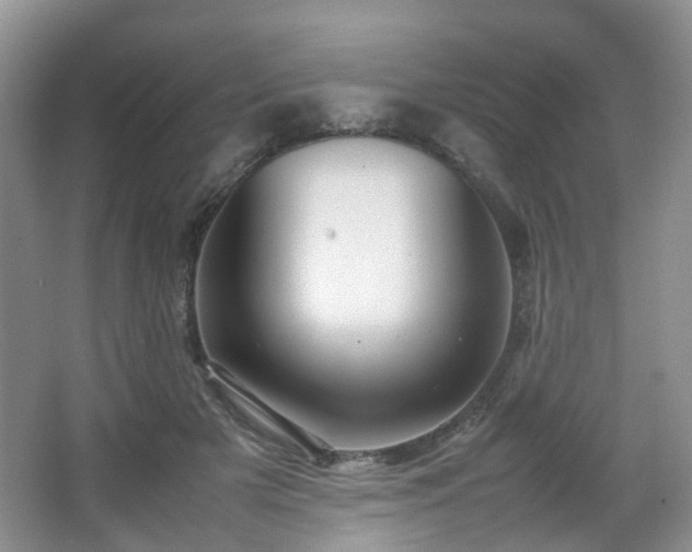 X0000066960505200603311427