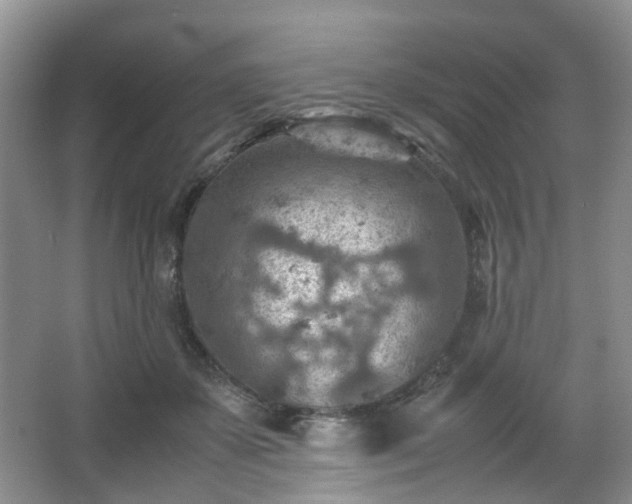 X0000066960507200603311427