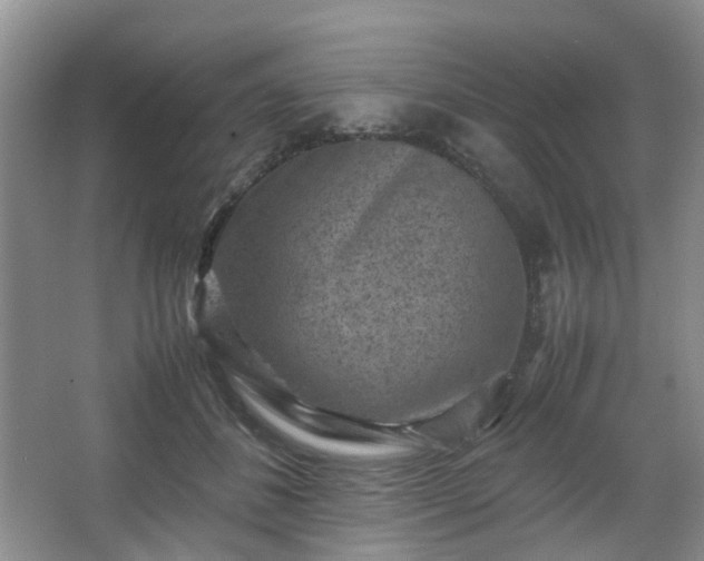 X0000066960508200603311427