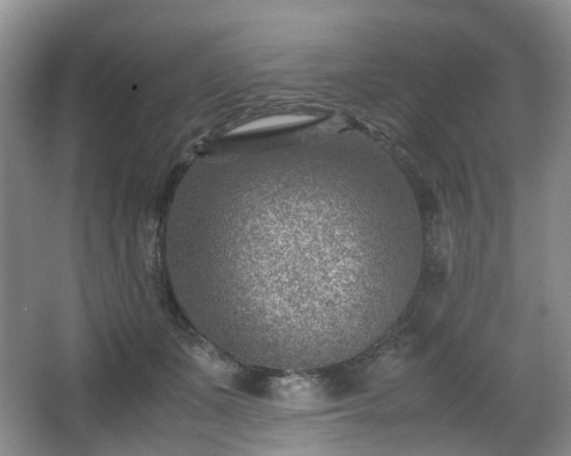 X0000066960511200603311427