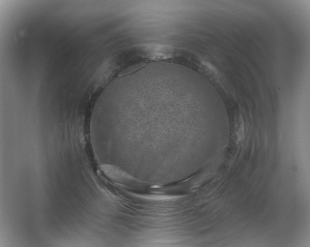 X0000066960512200603311427