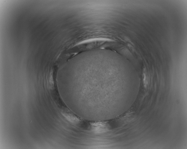 X0000066960516200603311427