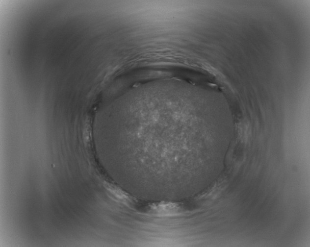 X0000066960517200603311426