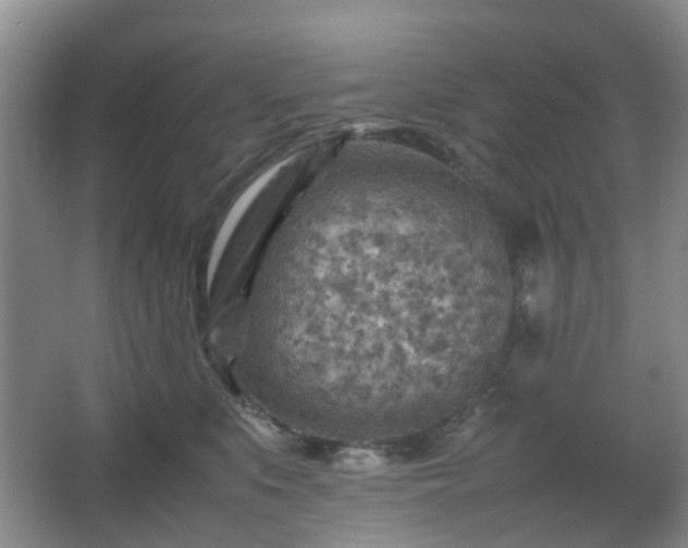 X0000066960519200603311426