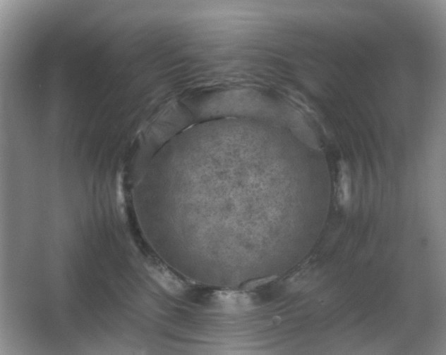 X0000066960520200603311426