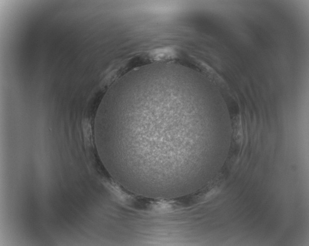 X0000066960523200603311426