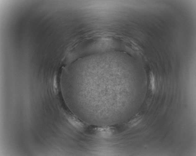 X0000066960524200603311426