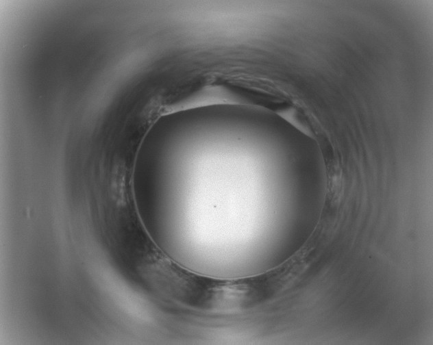 X0000066960525200603311426