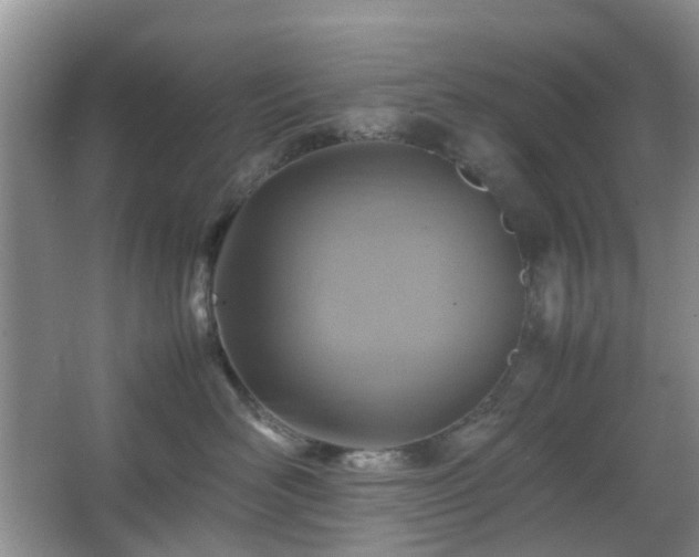 X0000066960526200603311426