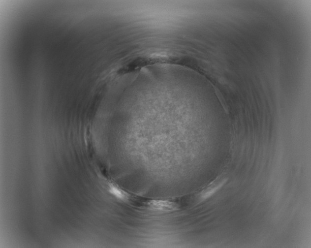 X0000066960528200603311426