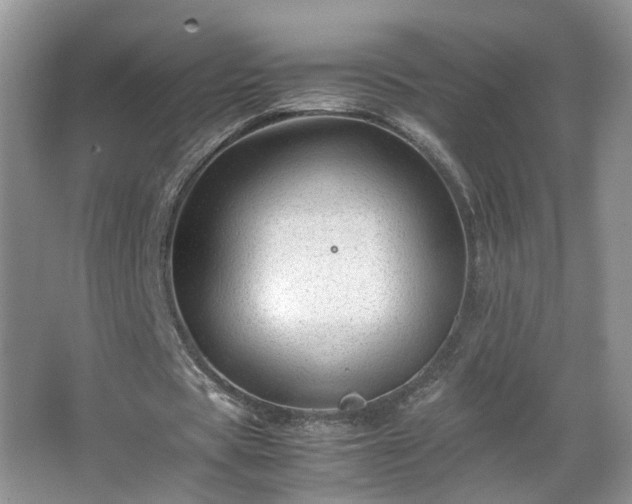 X0000066960529200603311425