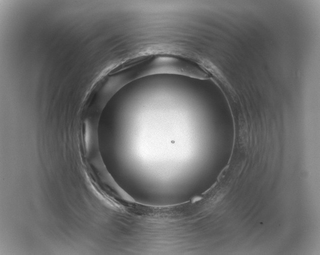 X0000066960530200603311426