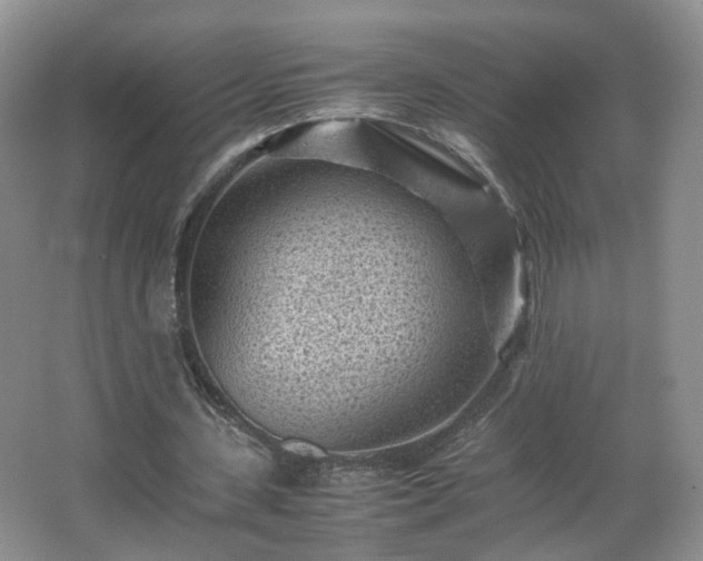 X0000066960531200603311426