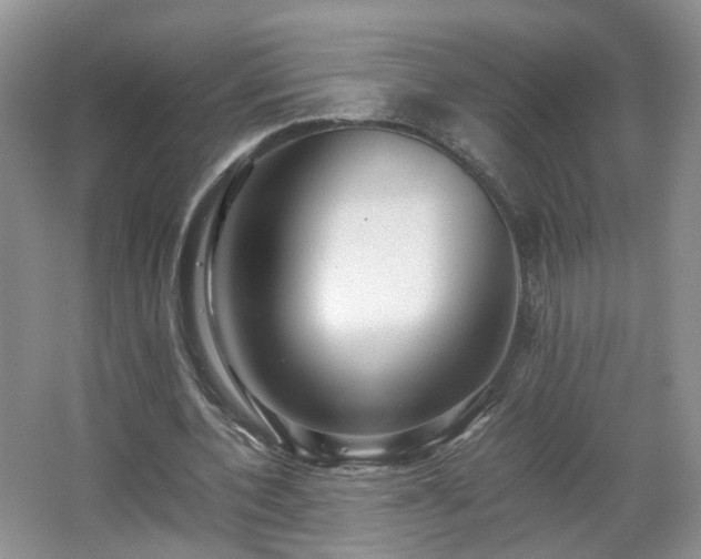 X0000066960532200603311426