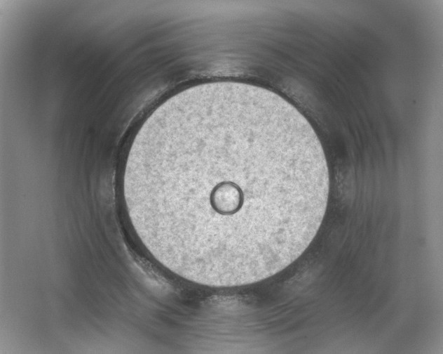 X0000066960534200603311426