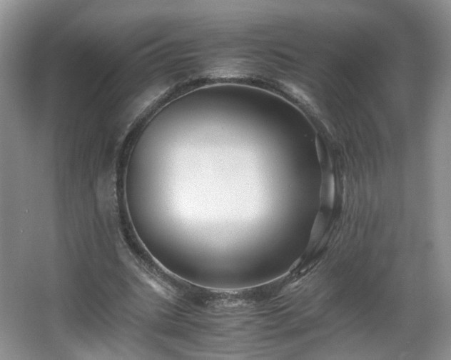 X0000066960535200603311426