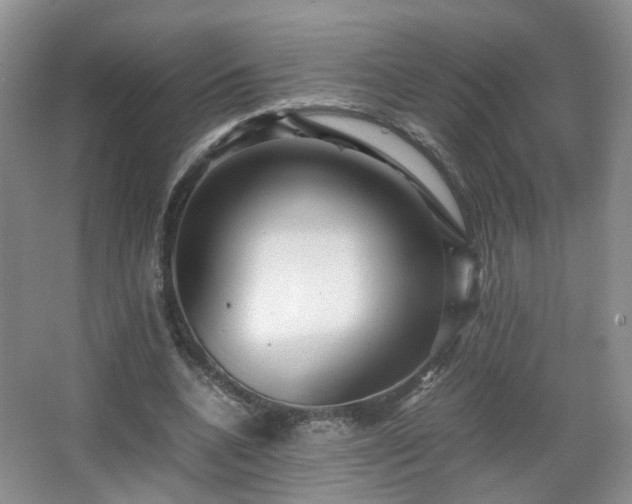 X0000066960536200603311426