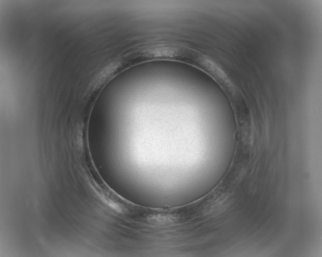 X0000066960537200603311426