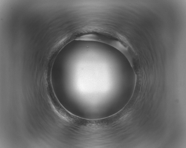 X0000066960538200603311426