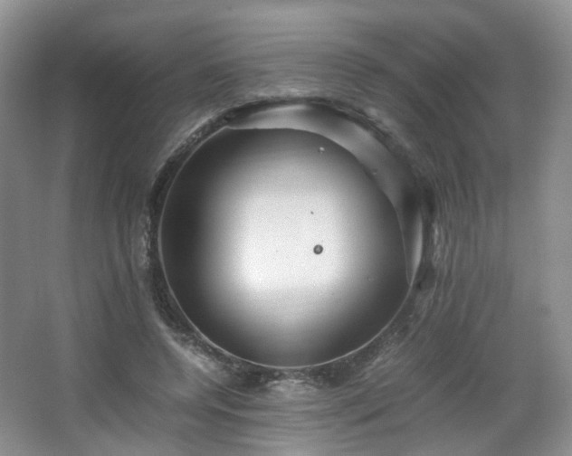 X0000066960544200603311426