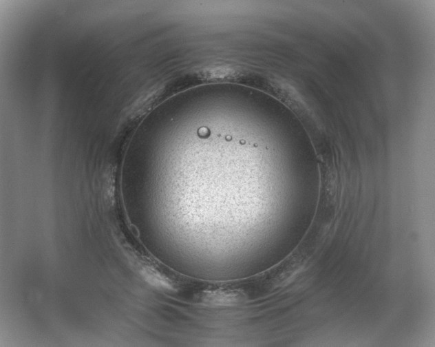 X0000066960545200603311426