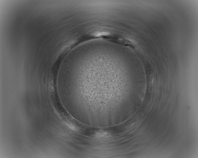 X0000066960547200603311426