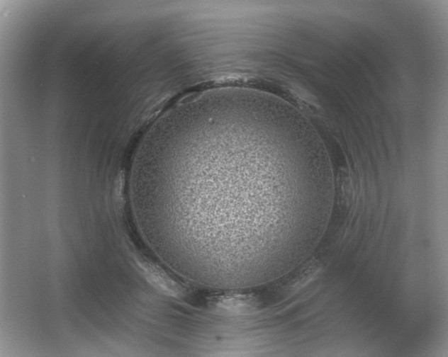 X0000066960550200603311426