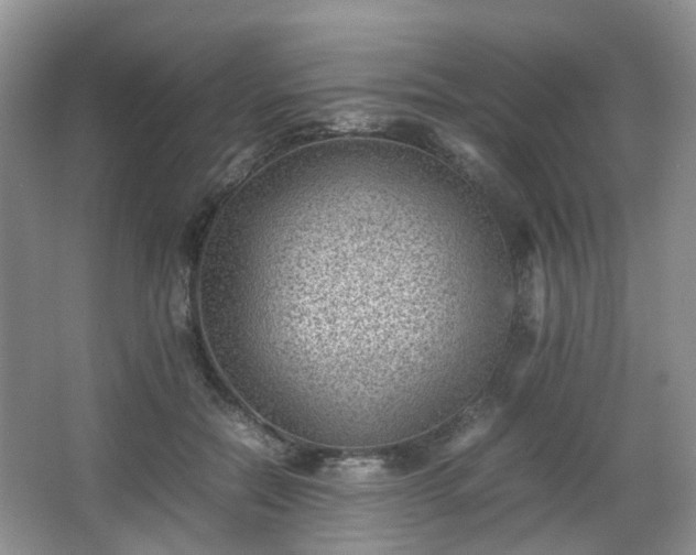 X0000066960554200603311426