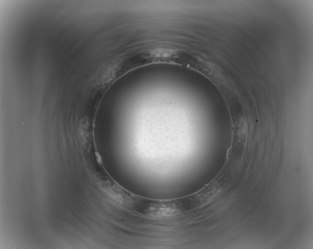 X0000066960559200603311426