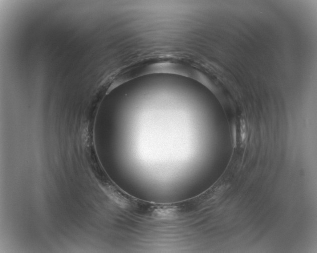 X0000066960560200603311426