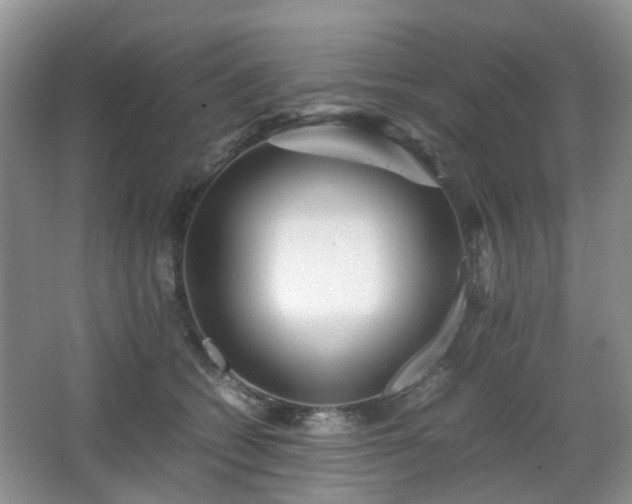 X0000066960562200603311426