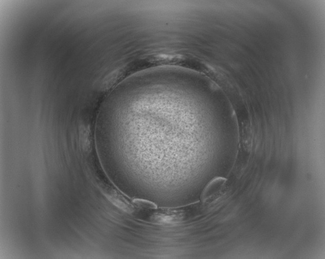 X0000066960563200603311426