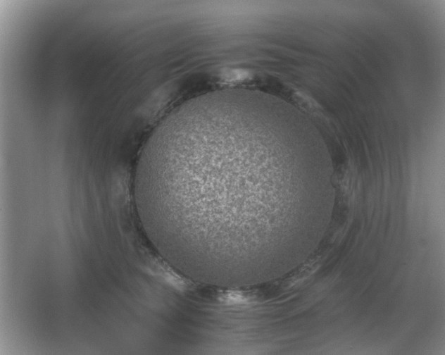 X0000066960565200603311426