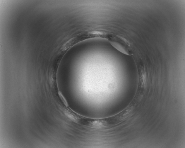 X0000066960566200603311426