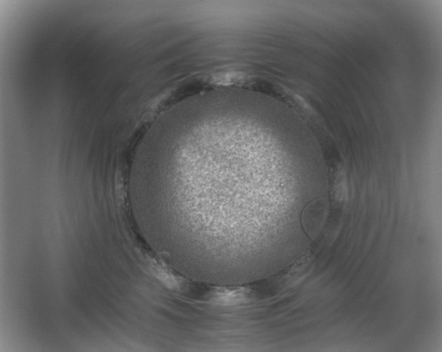 X0000066960569200603311426