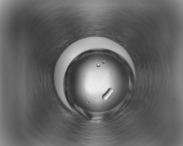 X0000066960570200603311426